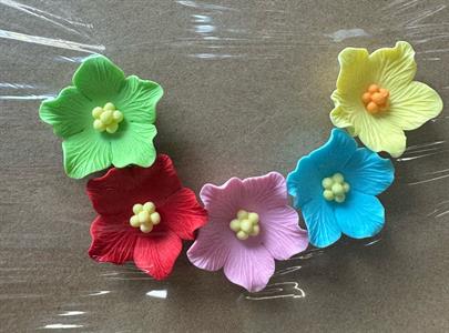 CAMPANELLA GRANDE SCT PZ 50 - DECOR