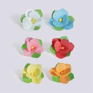 PEONIA IN CIALDA ASSORTITE PZ 100 - DECOR